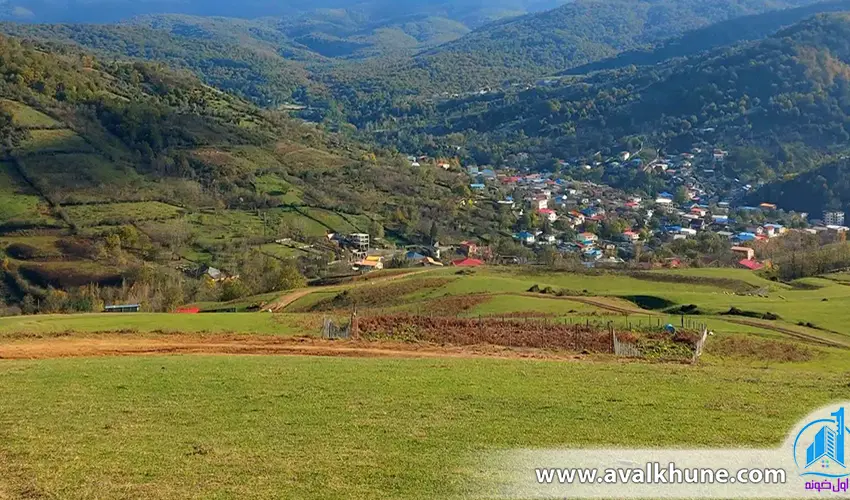 بررسی همسایگان زمین