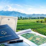 استعلام اراضی ملی و منابع طبیعی قبل از خرید زمین در شمال