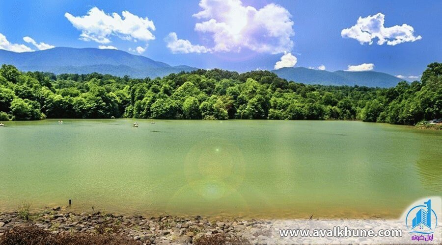 روستای لاویج کجاست + جاهای دیدنی و گردشگری لاویج 1404