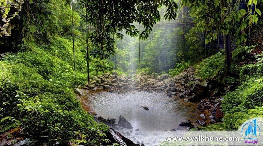 جنگل‌های مازندران، جاذبه‌های طبیعی که نباید از آن‌ها غافل شوید!
