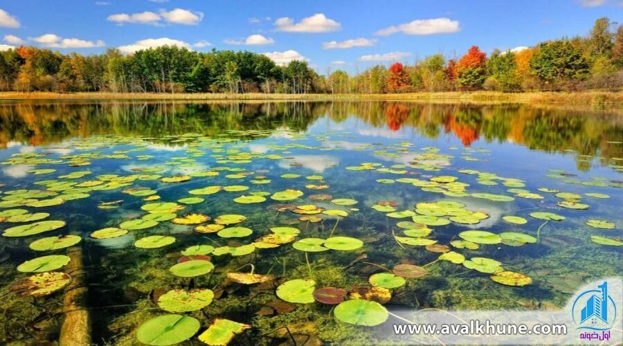 آشنایی با زیباترین تالاب‌های مازندران برای یک گردش دلچسب!