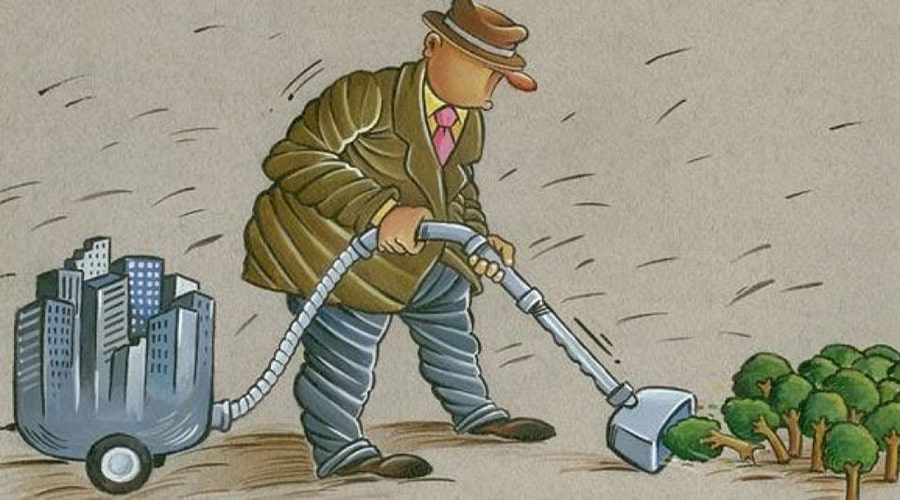 معضل جدیدی به نام تغییر کاربری زمین/ چرا و چگونه؟