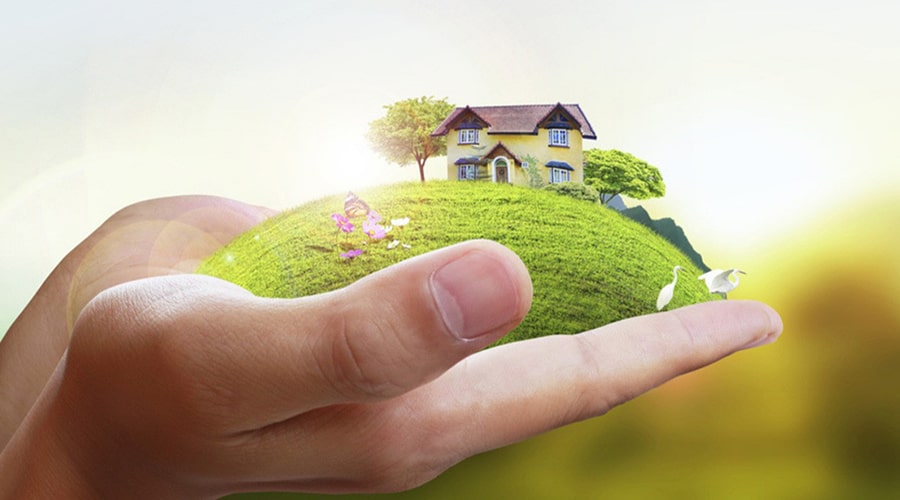 خرید زمین در شمال آری یا خیر؟ 7 نکته مهم!