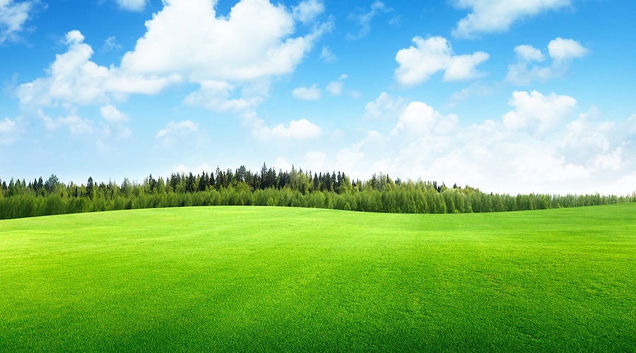 چطور می‌توانیم با 100 میلیون تومان در شمال، زمین بخریم؟