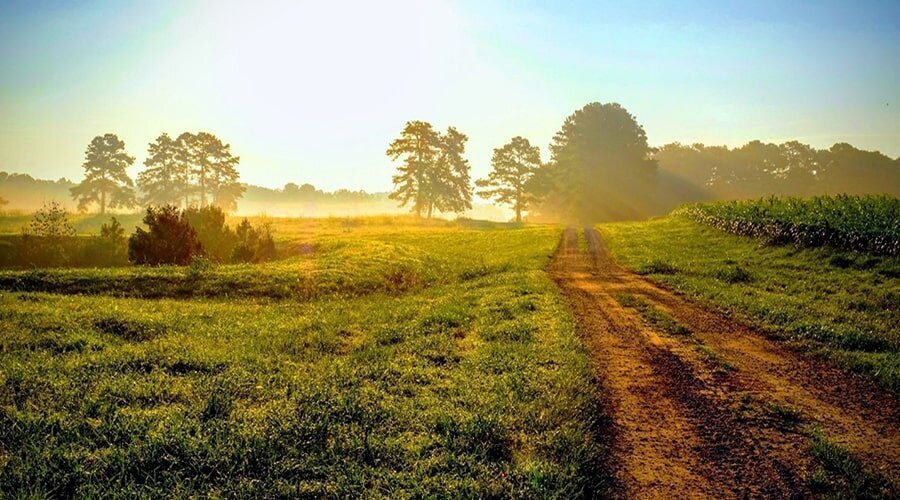 خرید زمین خارج از بافت؛ سرمایه‌گذاری بلند مدت برای فرزندان