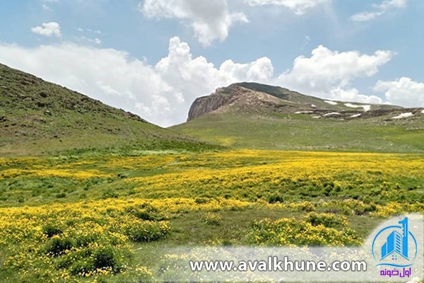 زیبایی‌های لپاسر از بهترین ییلاقات شمال