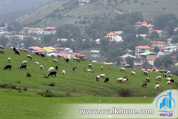 روستای فیلبند