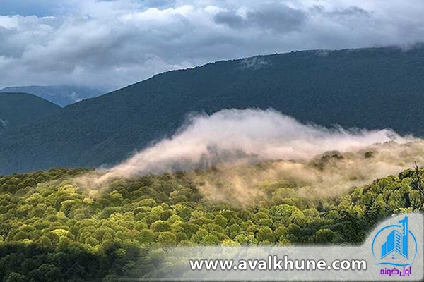 جنگل‌های هیرکانی در مازندران