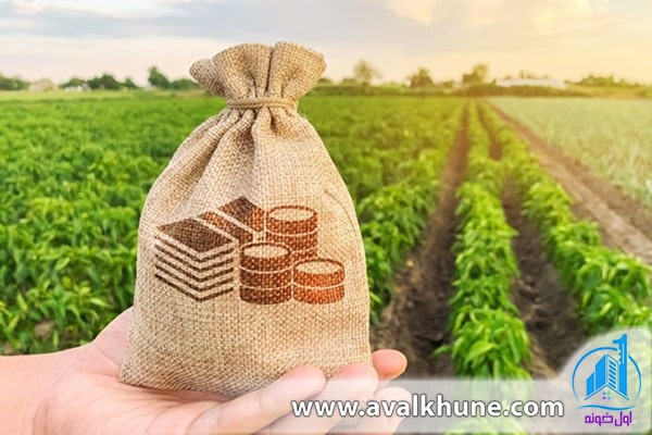 آیا با پول کم می‌توان در شمال یک زمین مناسب خرید؟