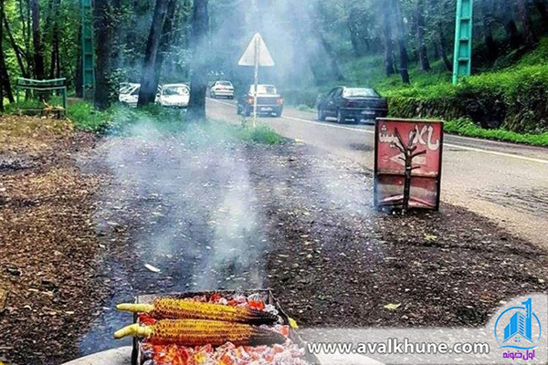 جاده زیبای جنگل دالخانی مازندران