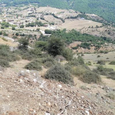 زمین در منطقه ییلاقی لاویج