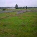 خرید زمین مسکونی با قیمت مناسب