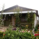 فروش ویلا باغ همکف با حیاط سرسبز