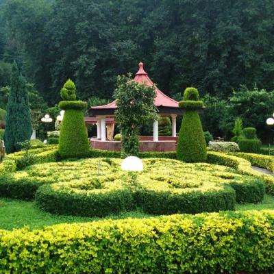 ویلا جنگلی استخردار