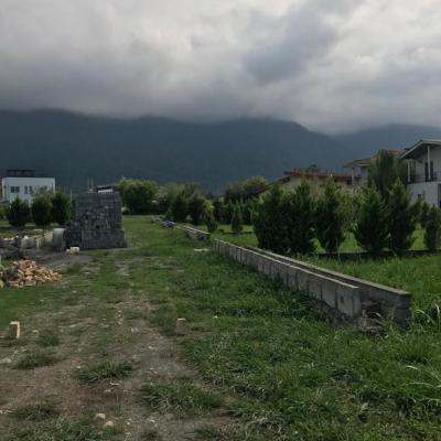 خرید زمین جنگلی در نخ شمال