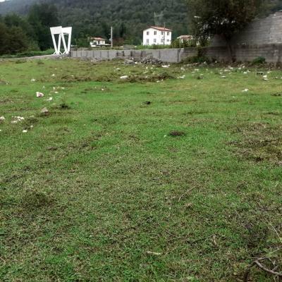 زمین خارج بافت در آویدر