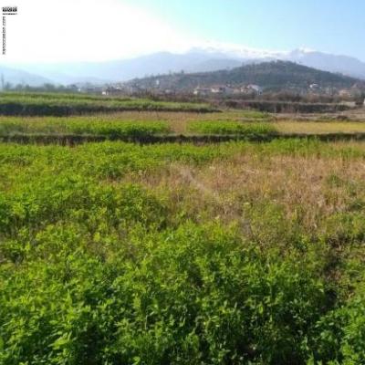 زمین  آبی در محمودآباد