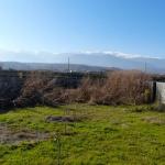 فروش زمین در منطقه ای برند در چمستان