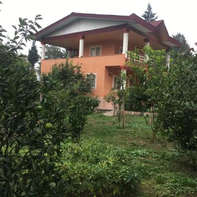 باغ ویلا جنگلی با ویو فوق العاده