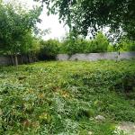 فروش زمین جنگلی در سرخرود