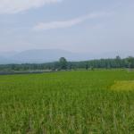 زمین شهرکی چسبیده به بافت