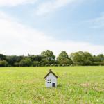 فروش زمین در بهترین منطقه جنگلی