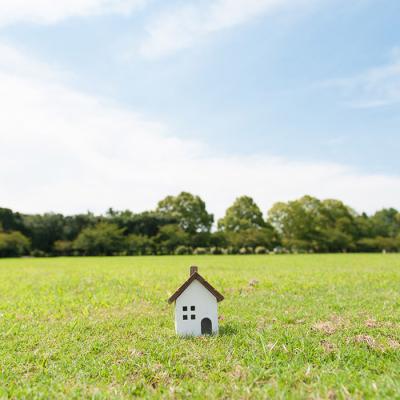 فروش زمین در بهترین منطقه جنگلی