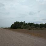 خرید زمین هکتاری ساحلی