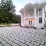 ویلا دوبلکس با ویو بی نظیر جنگل