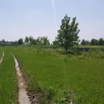 خرید زمین اقساطی در امیرآباد