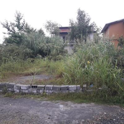 خرید زمین مسکونی در نور