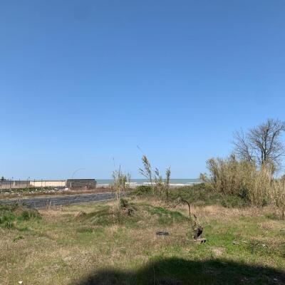 فروش زمین پلاک یک دریا سرخ رود