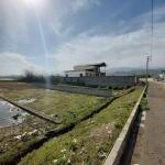 خرید زمین جنگلی داخل بافت همصفا