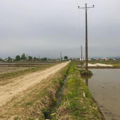 خرید زمین کشاورزی نزدیک به بافت