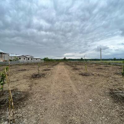 خرید زمین چسبیده به بافت با قیمت مناسب