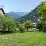 خرید زمین در چلک