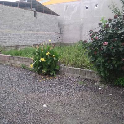 خرید زمین کوهستانی با ویو جنگل