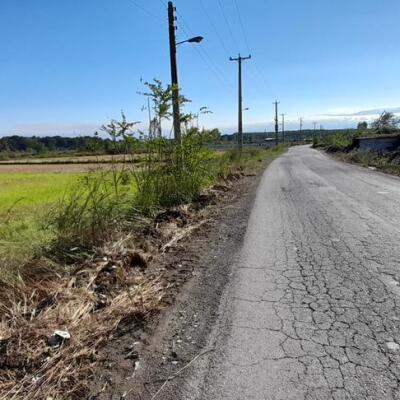 زمین کشاورزی بَر جاده اصلی با سند و امتیازات کامل