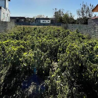 زمین مسکونی داخل بافت سند دار