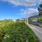 خرید زمین مسکونی در نجارده