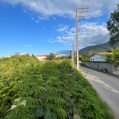 خرید زمین مسکونی در نجارده