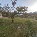 زمین جنگلی با اقساطی بلند مدت