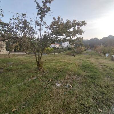 زمین جنگلی با اقساطی بلند مدت