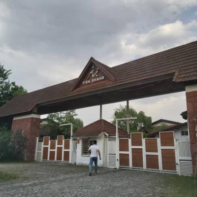 خرید زمین دشت نور - خیابان افرا