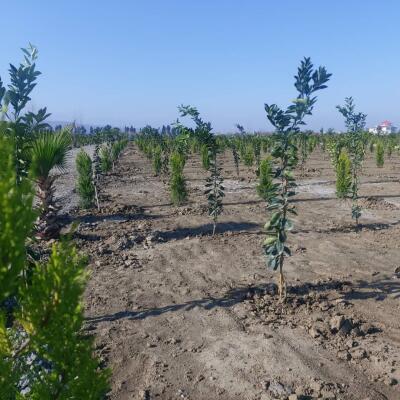 زمین مناسب سرمایه گذاری اقتصادی