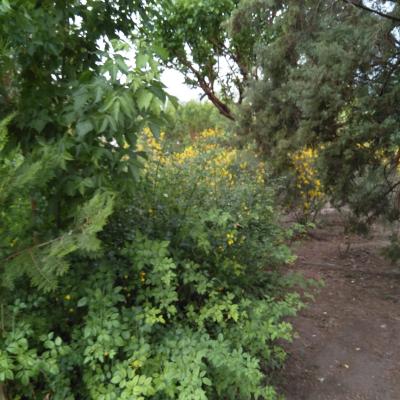 خرید زمین داخل بافت شهرکی