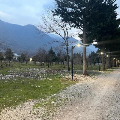 خرید زمین هکتاری در نوشهر (سیسنگان)