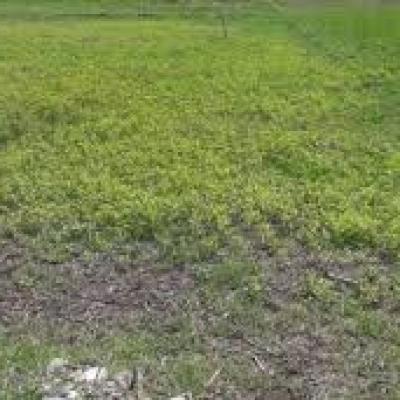 فروش زمین با موقعیت استثنایی