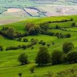 خرید زمین داخل شهرک