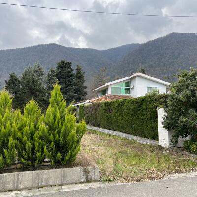 خرید زمین در سیسنگان ، پلاک اول جنگل